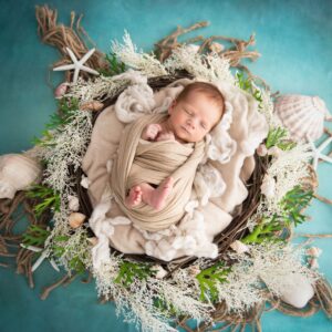 A sleeping newborn wrapped snugly in a nest with seashells, perfect for nature-themed nursery art.